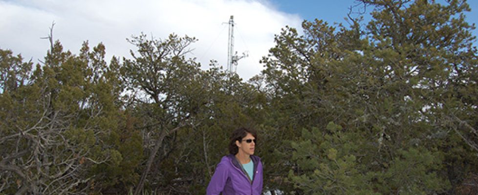 ResizedMarcyLitvakTowers