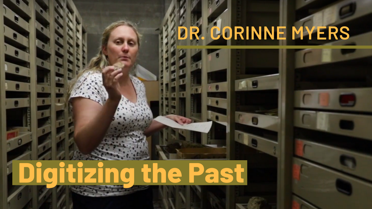 Digitizing the past