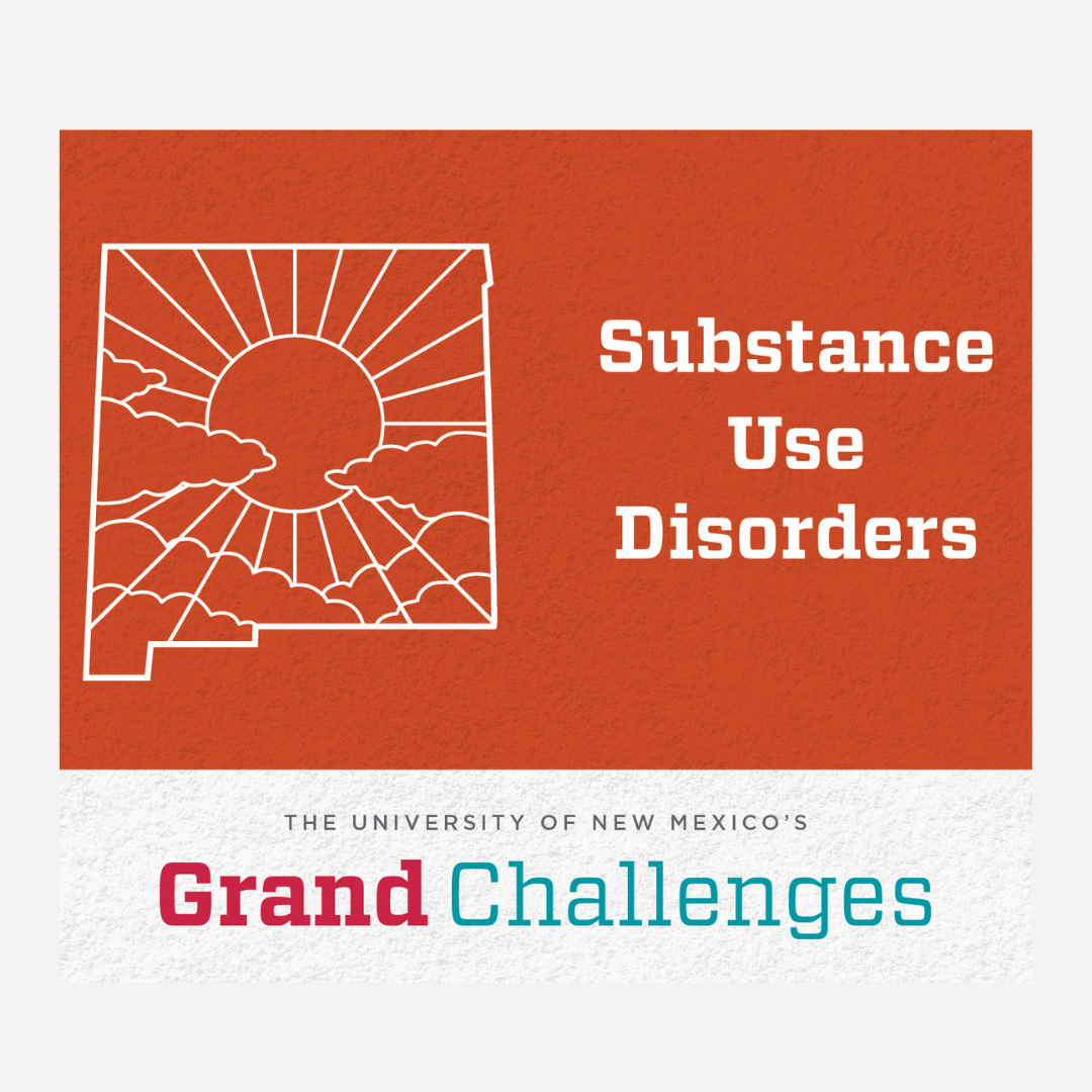 Substance Use Disorders Grand Challenge Student Scholars Program-2