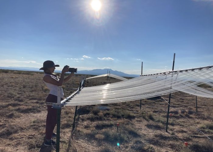 FelinaAtSevilleta.jpg1 FelinaAtSevilleta.jpg1