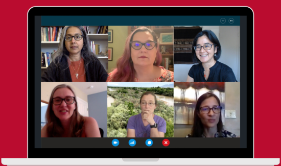 A computer screen with a Zoom meeting